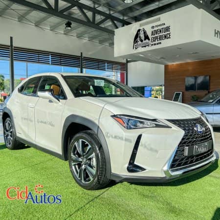 2024 Lexus Luxury